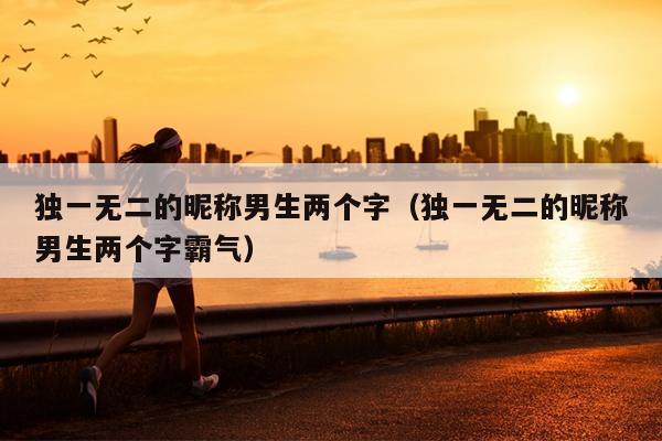 独一无二的昵称男生两个字（独一无二的昵称男生两个字霸气）