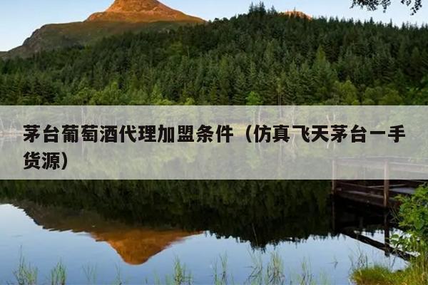 茅台葡萄酒代理加盟条件（仿真飞天茅台一手货源）