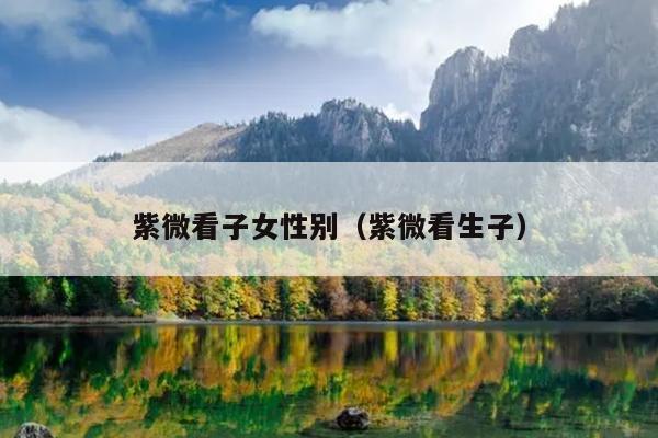 紫微看子女性别（紫微看生子）