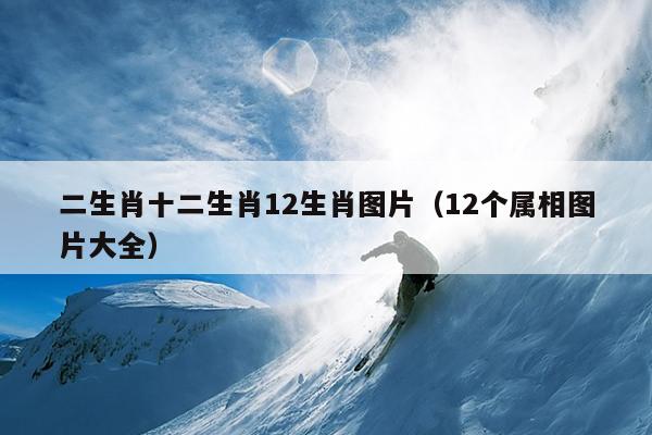 二生肖十二生肖12生肖图片（12个属相图片大全）