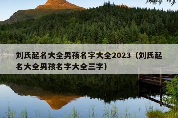 刘氏起名大全男孩名字大全2023（刘氏起名大全男孩名字大全三字）