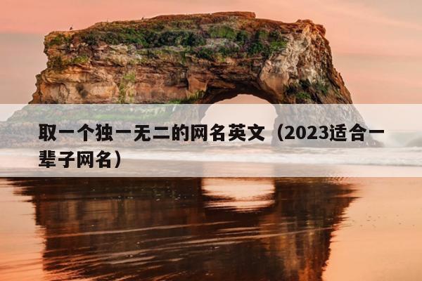 取一个独一无二的网名英文（2023适合一辈子网名）